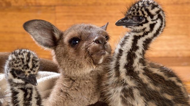 ASG Wishes you a Merry Christmas!, Reopening 5th January